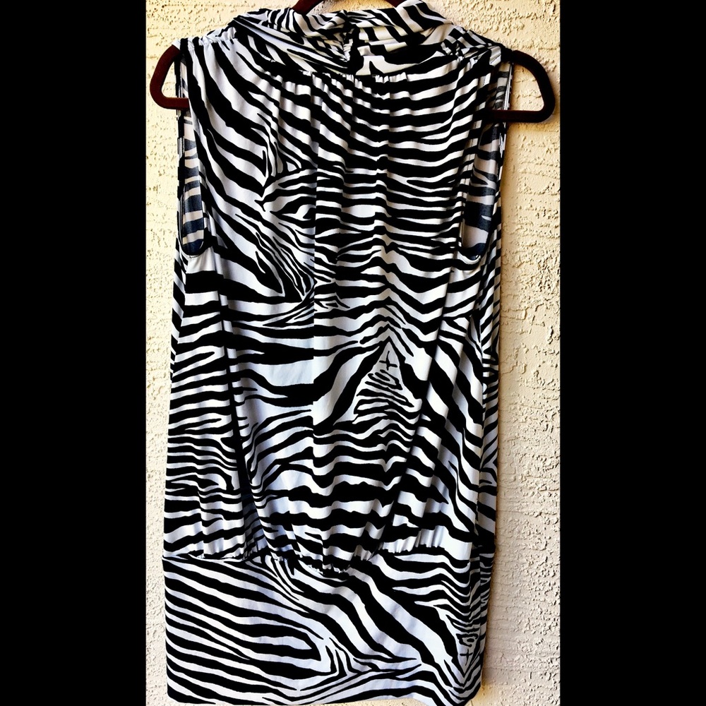 Express Dress - Picture 3 of 8